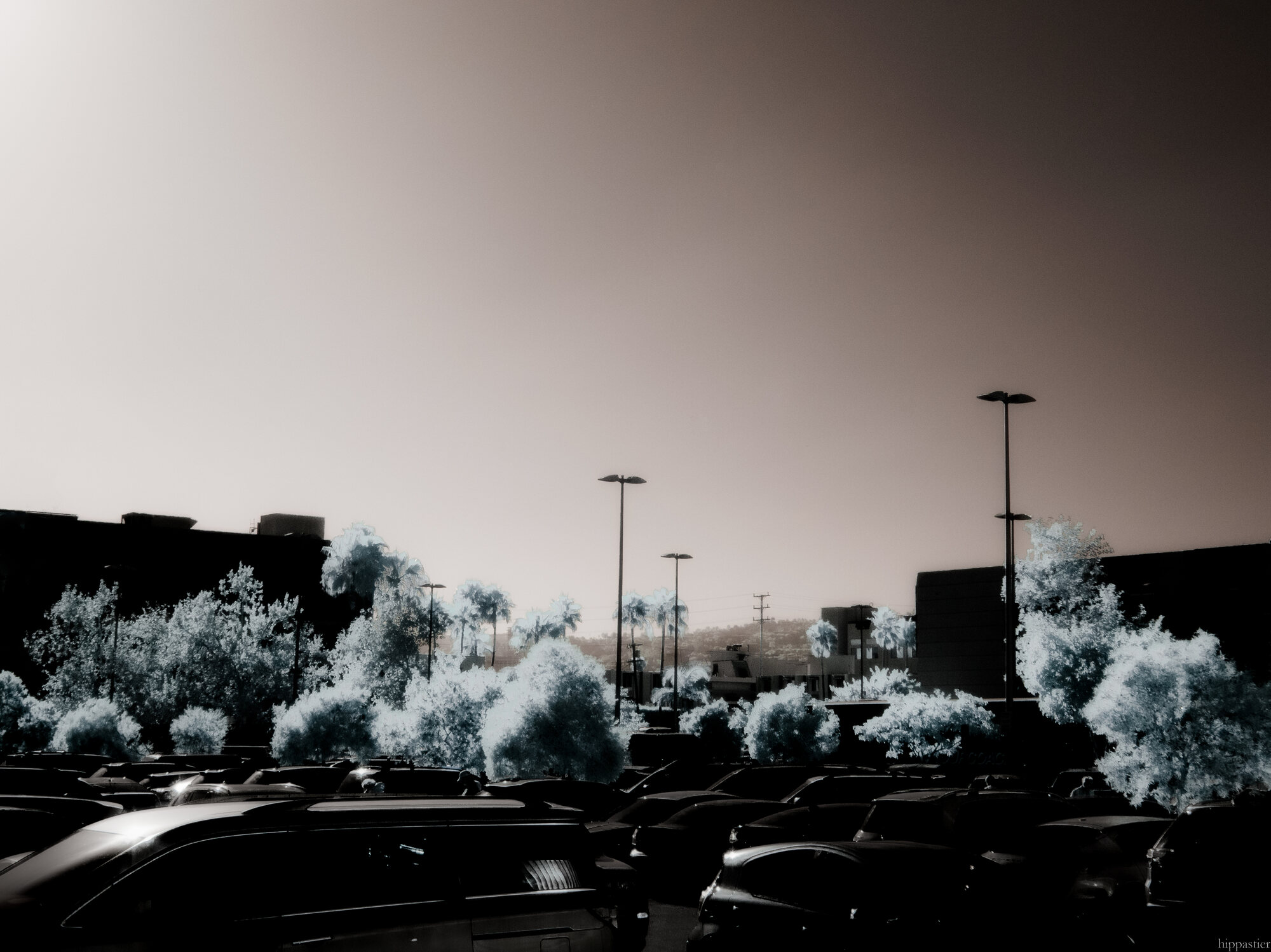 Cars in a parking lot with pale cyan infrared trees, sepia sky, streetlights