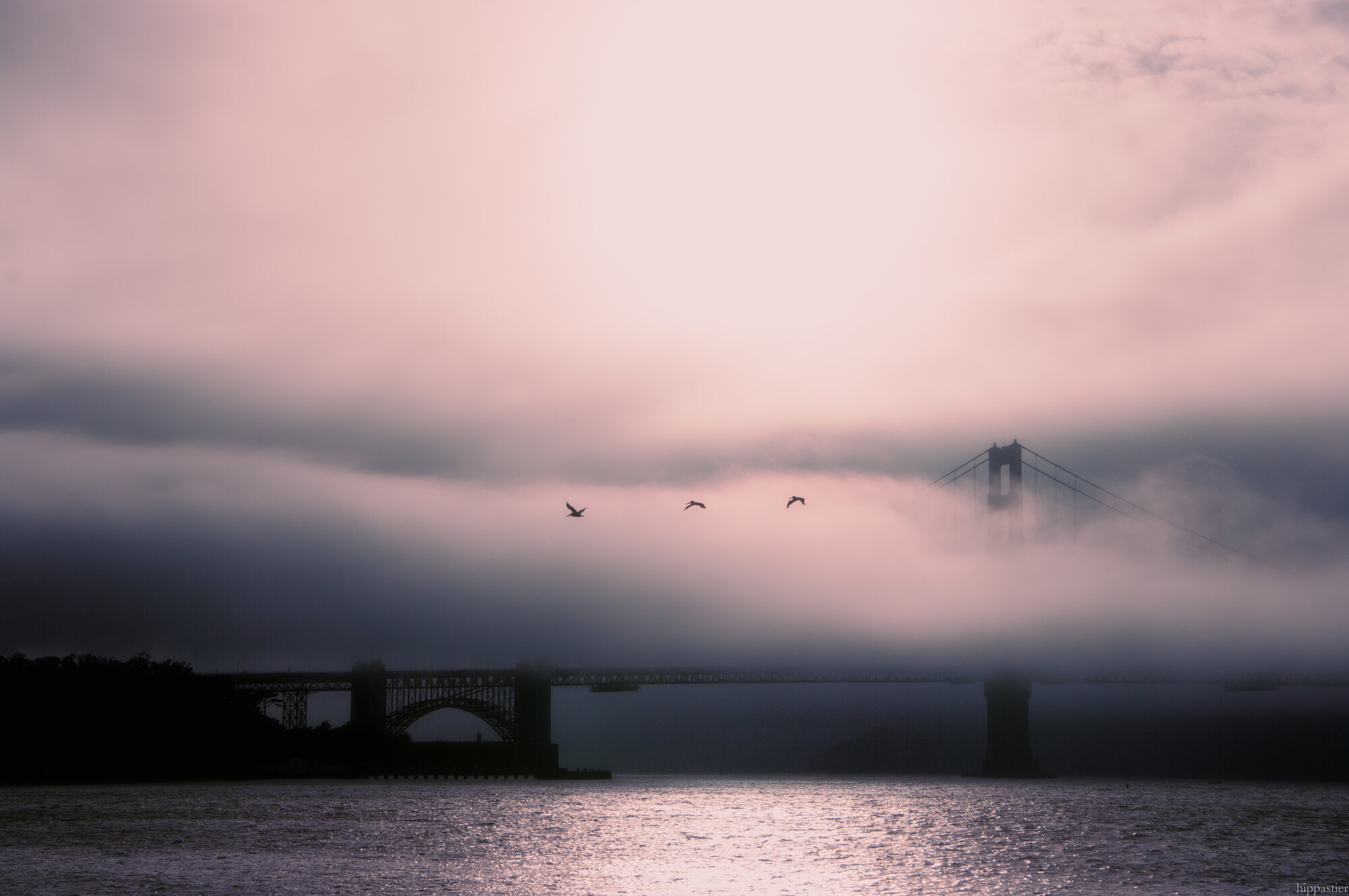 Golden Gate Bridge emerging from fog with birds flying past, pastel pink infrared sky