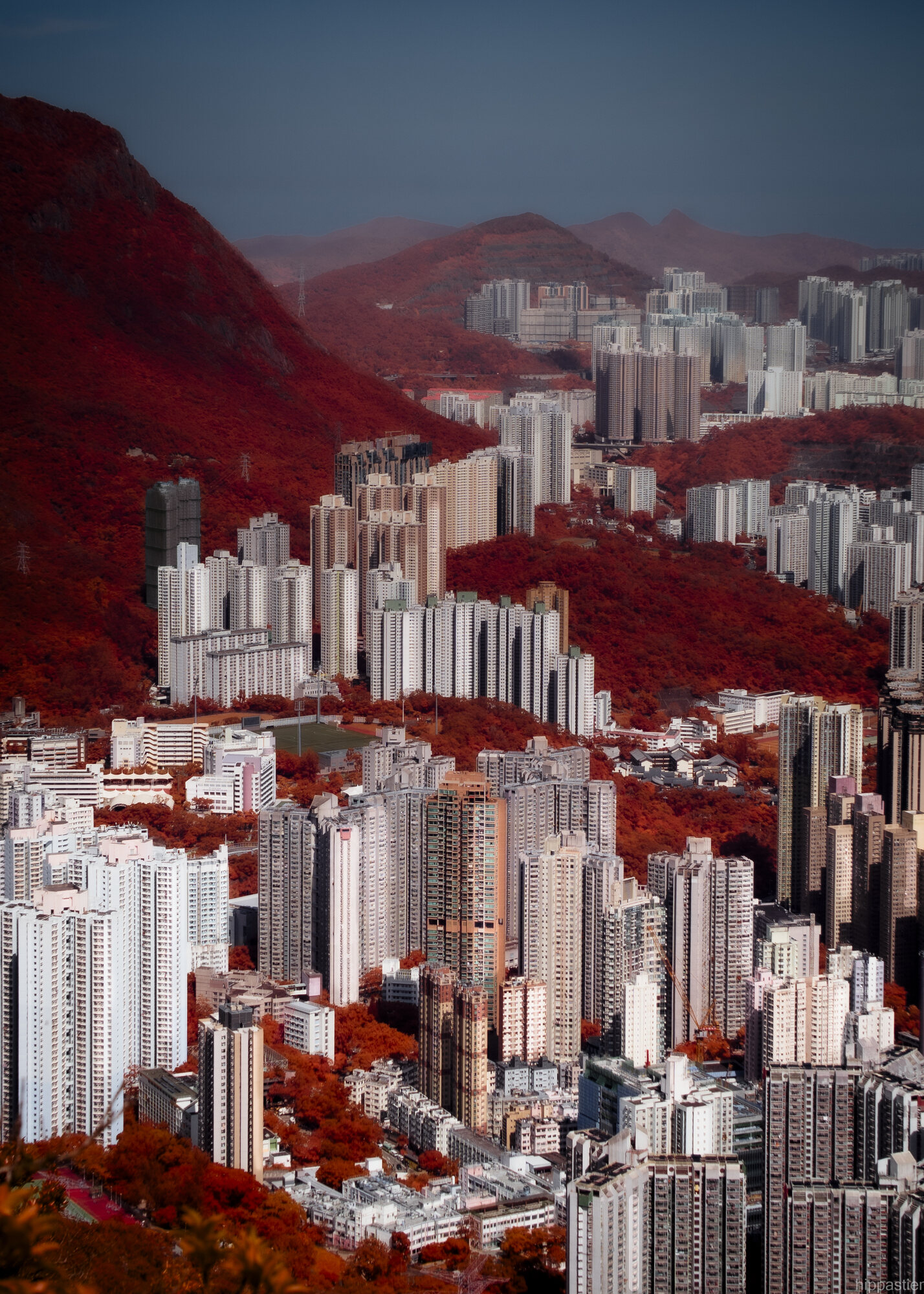 Dense high-rise apartment towers among red infrared hillsides, Hong Kong