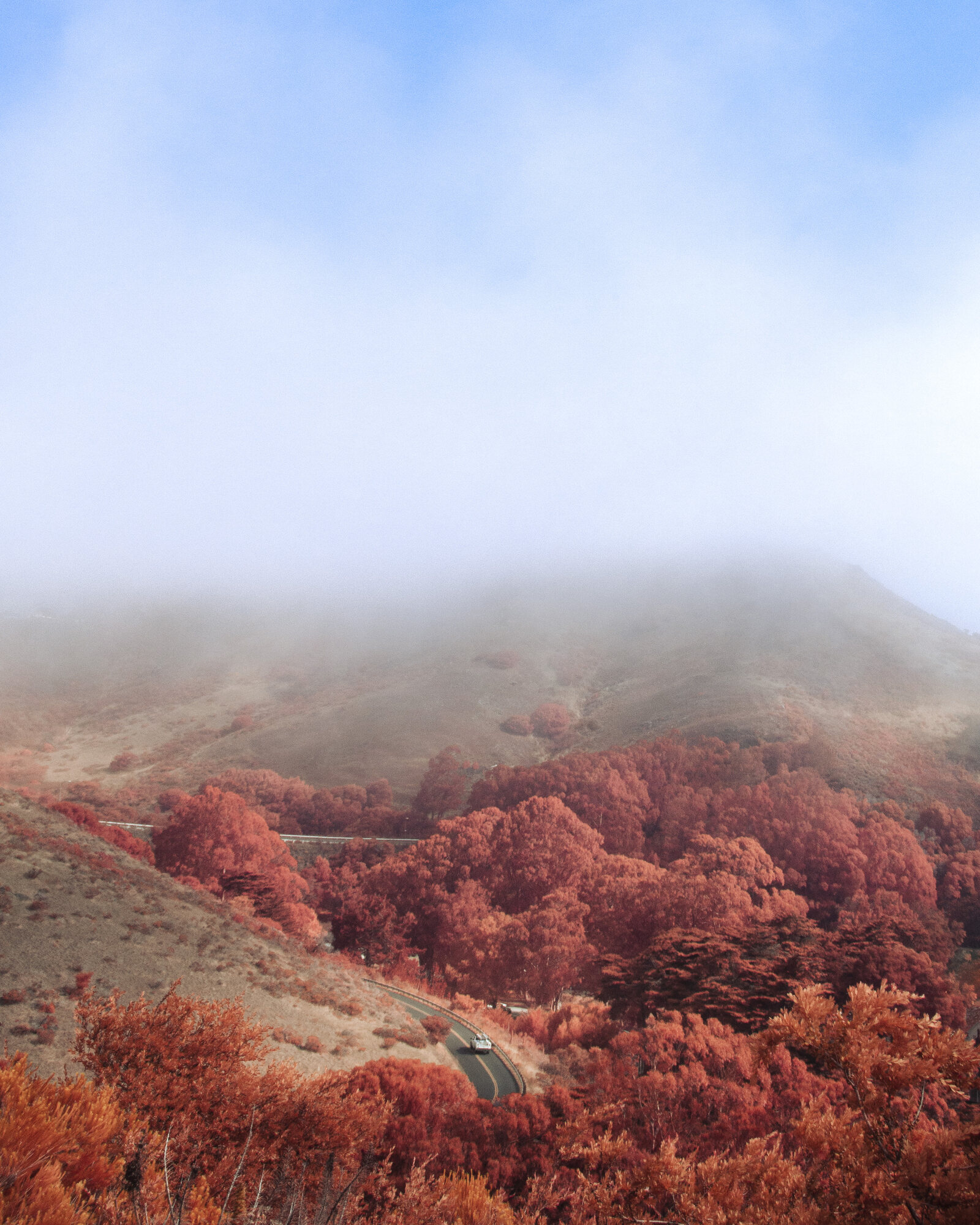 Fog rolling over red-orange infrared hills with a winding road, Marin Headlands