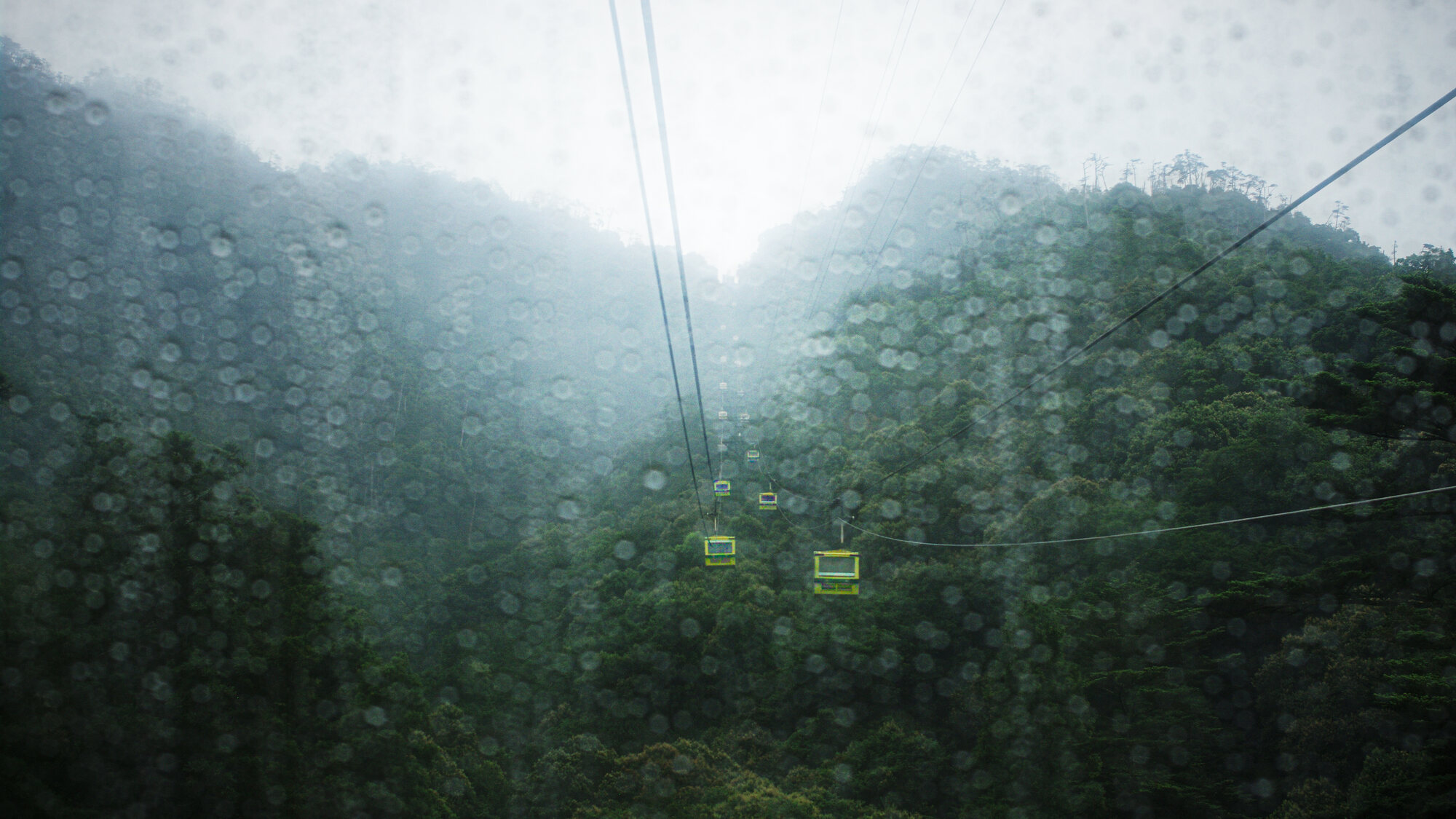Cable cars crossing a misty forested mountain, seen through a rain-flecked window, natural colour