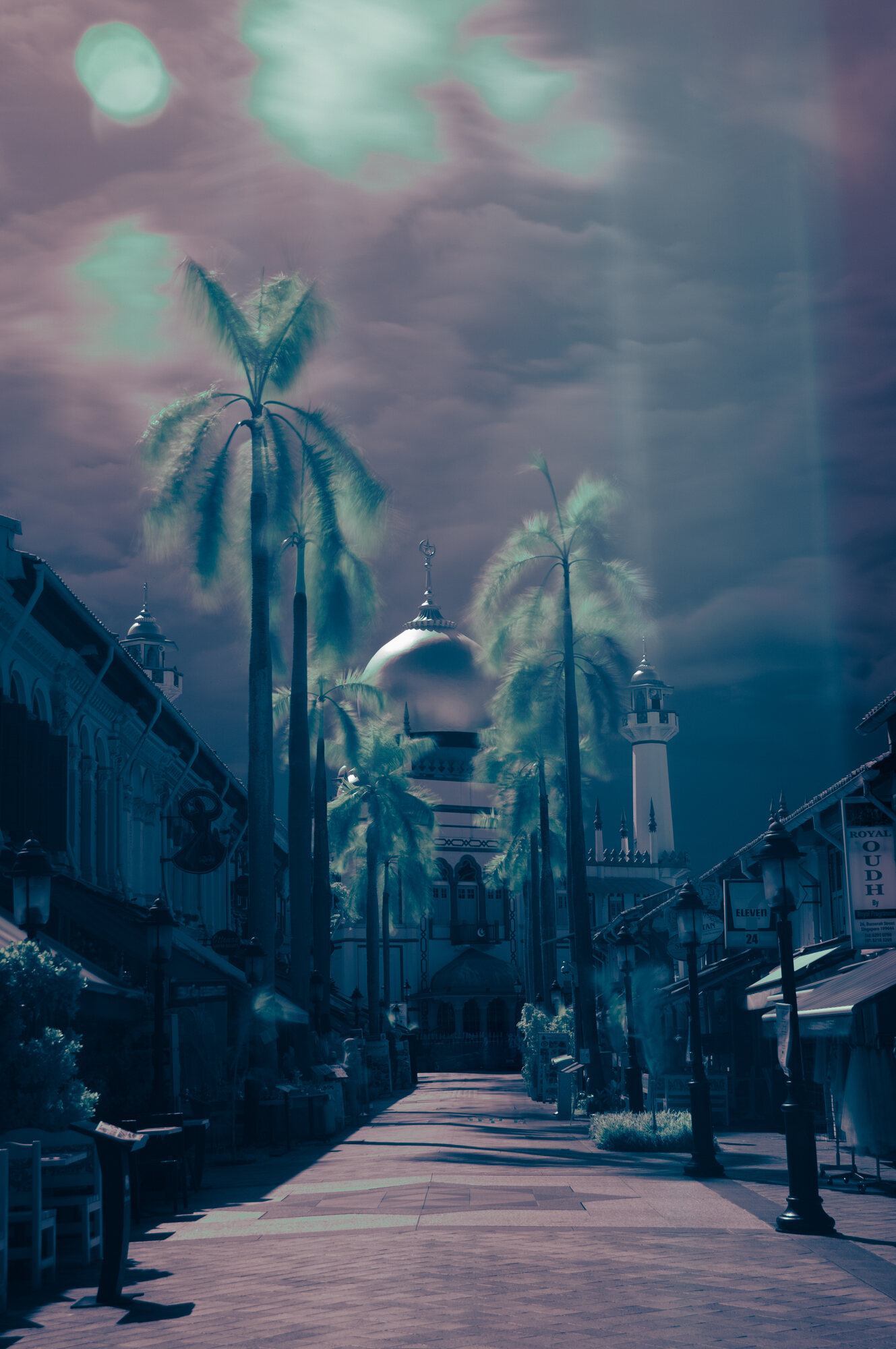 Sultan Mosque seen through palm trees on Bussorah Street, Singapore