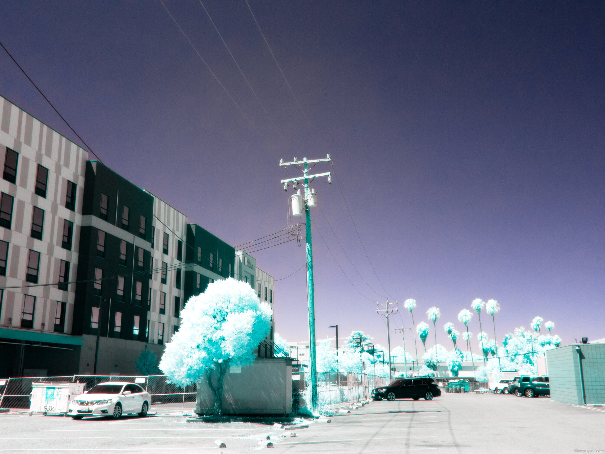 Teal infrared trees and palm trees beside a parking lot and utility pole, purple sky