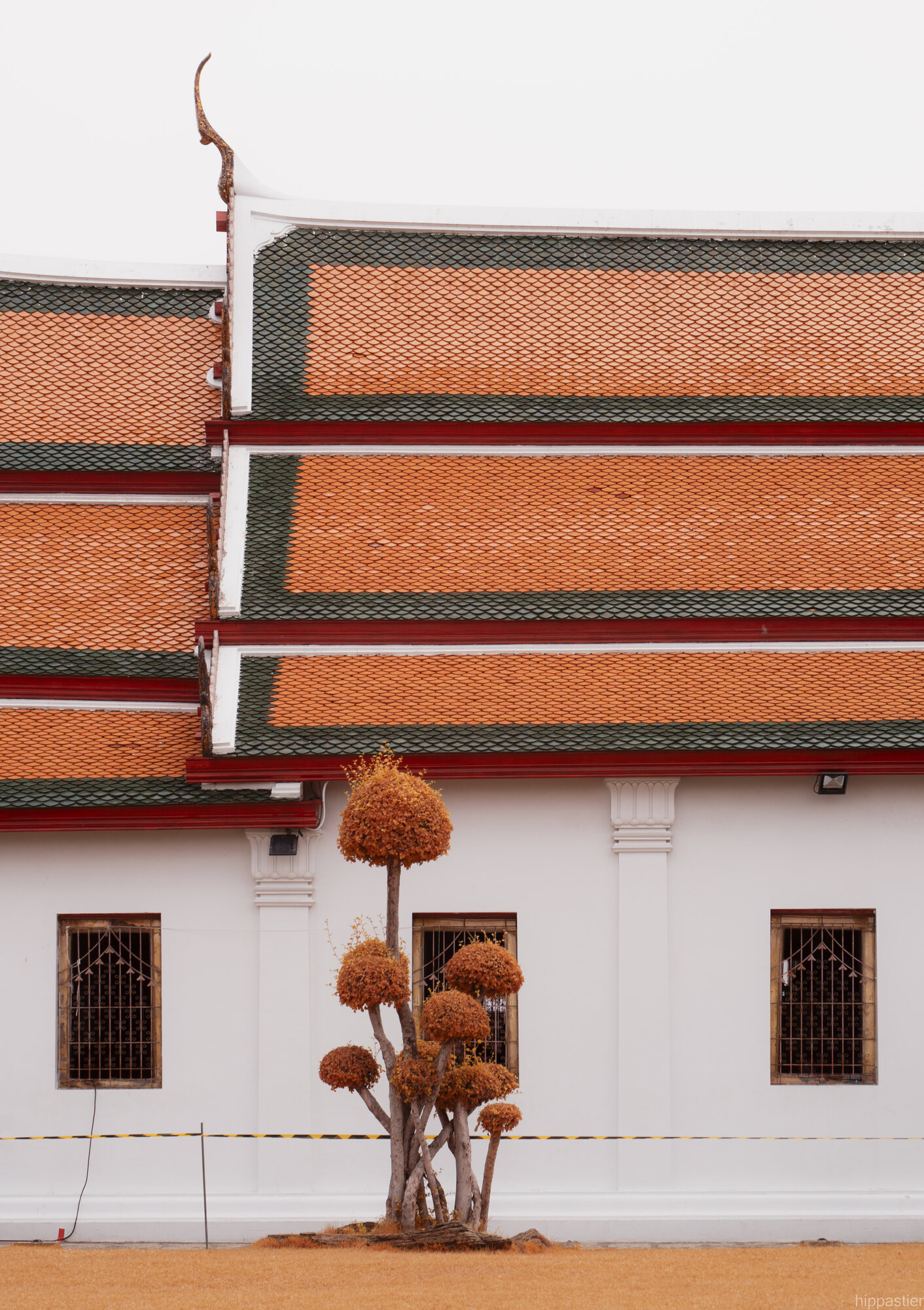 Layered orange and green tiled temple roof with a small tree, Wat Phra Kaew